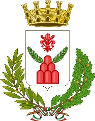 ADOZIONE DEL NUOVO PIANO STRUTTURALE DEL COMUNE DI MONTE SAN SAVINO